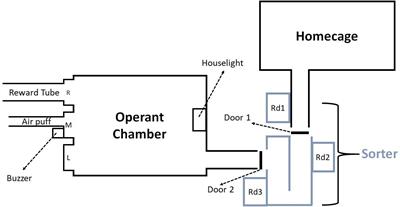 The Stop Signal Task for Measuring Behavioral Inhibition in Mice With Increased Sensitivity and High-Throughput Operation